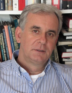 Prof. Dr. sc. Dalibor Čepulo (HR)